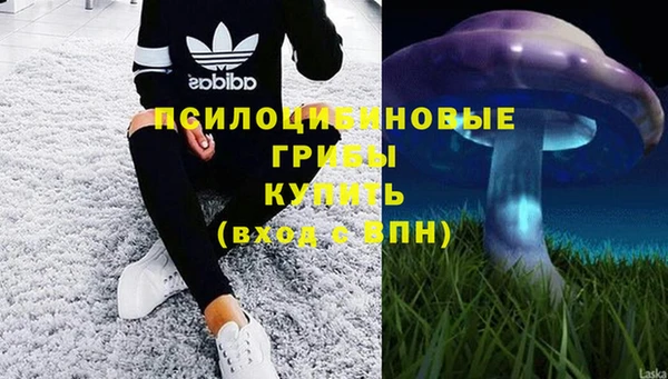 mdpv Киреевск