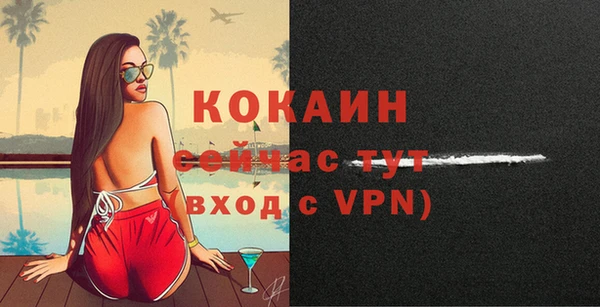 mdpv Киреевск