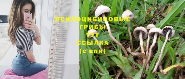 а пвп мука Кинешма