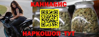 дурь Кингисепп