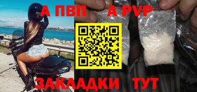 дурь Кингисепп
