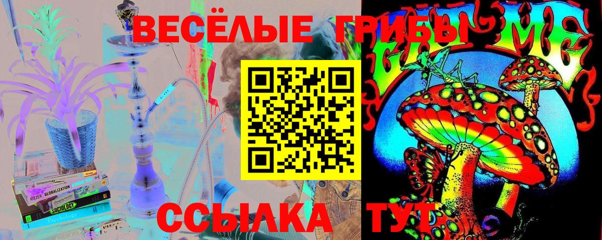 Галлюциногенные грибы Magic Shrooms Ростов-на-Дону