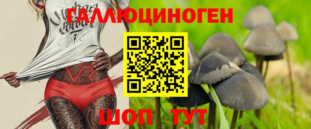 Ростов-на-Дону  Галлюциногенные грибы Cubensis  Вход с VPN 